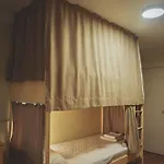Orange Camp Camping