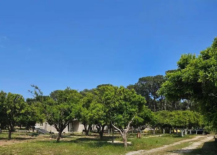 Κάμπινγκ Orange Camp Beldibi (Kemer)