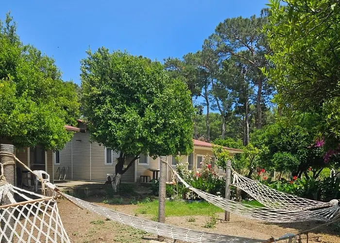 Orange Camp Κάμπινγκ 3*