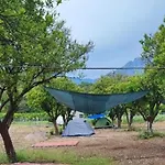 Orange Camp Camping