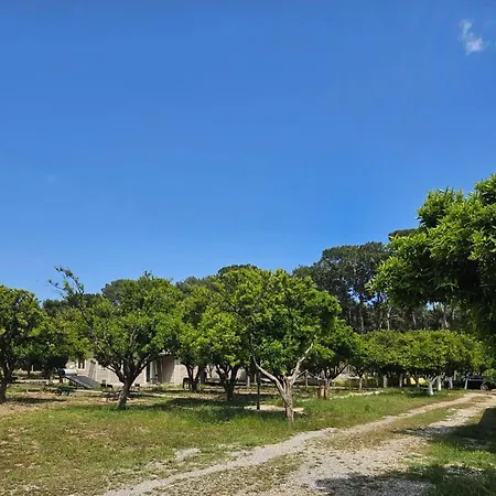 Campingplatz Orange Camp Göynük