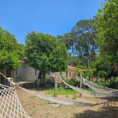Orange Camp Kamp alanı 3*
