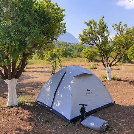 Orange Camp Camping