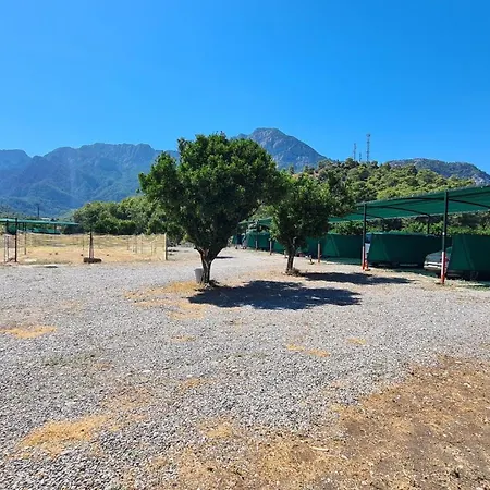 Orange Camp 凯梅尔