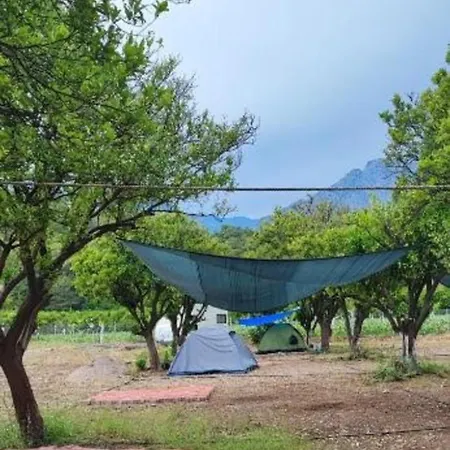 Orange Camp Camping