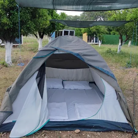 Campingplatz Orange Camp 4*
