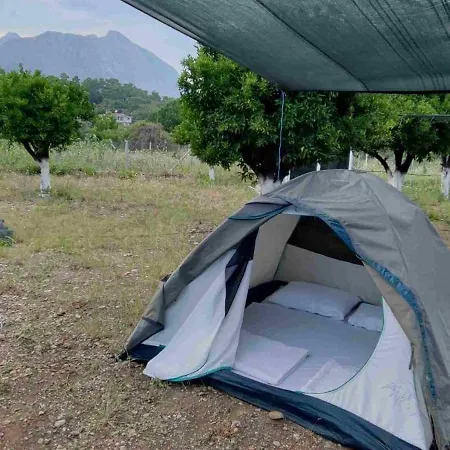 Campingplatz Orange Camp 4*
