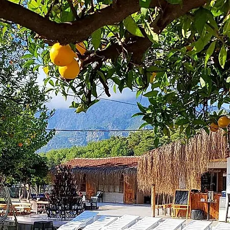 Orange Camp Beldibi (Kemer)