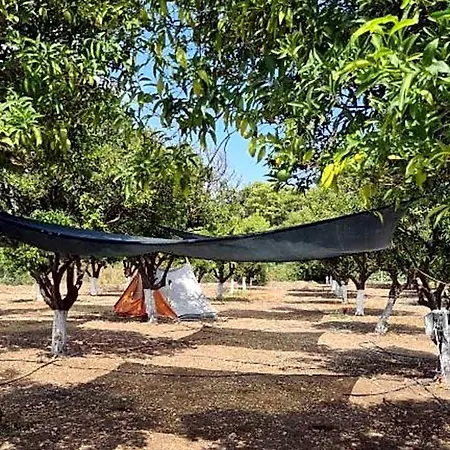 Orange Camp Kemp