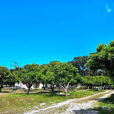 Orange Camp 4*