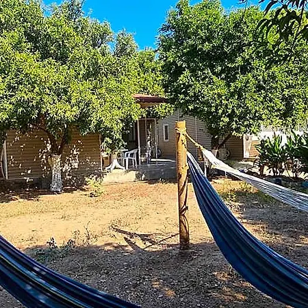 Orange Camp 营地