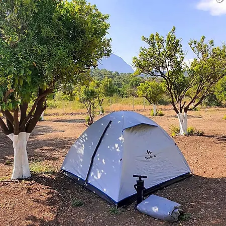 Orange Camp 4*