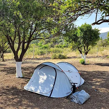 营地 Orange Camp 凯梅尔