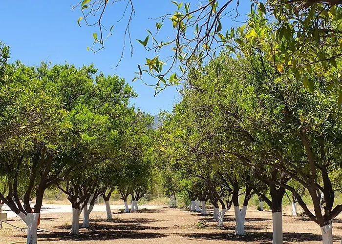 Orange Camp Beldibi (Kemer)