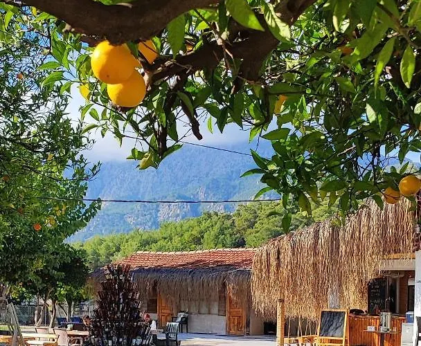 Orange Camp 3* Beldibi (Kemer)