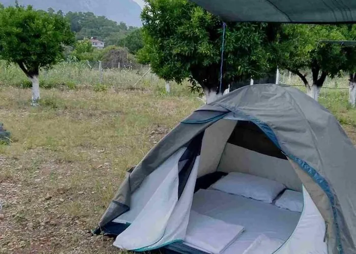 Camping Orange Camp 3*