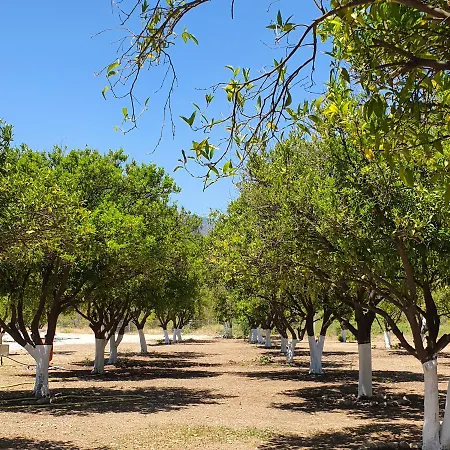 Orange Camp ベルディビ