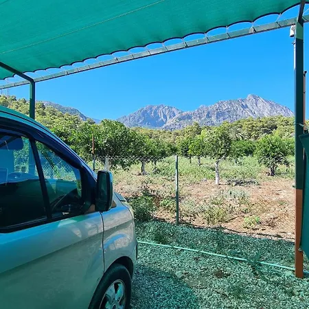 Orange Camp ベルディビ