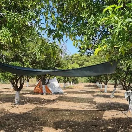 Orange Camp キャンプ場 ベルディビ