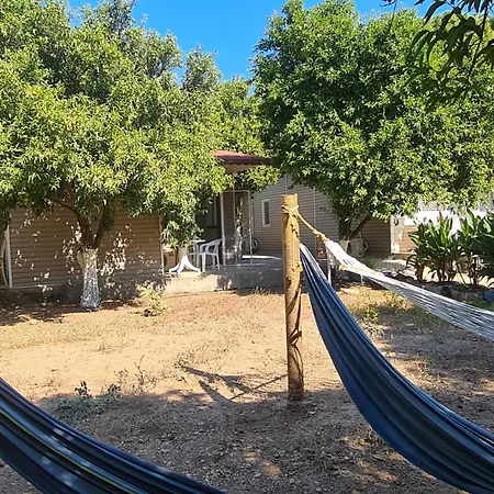 Orange Camp ベルディビ