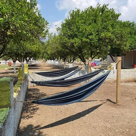 Orange Camp