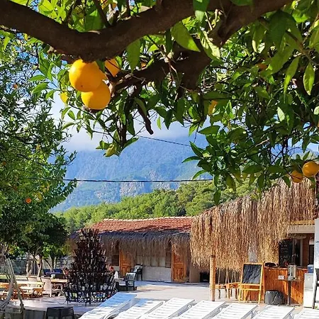 Orange Camp 3* Beldibi (Kemer)