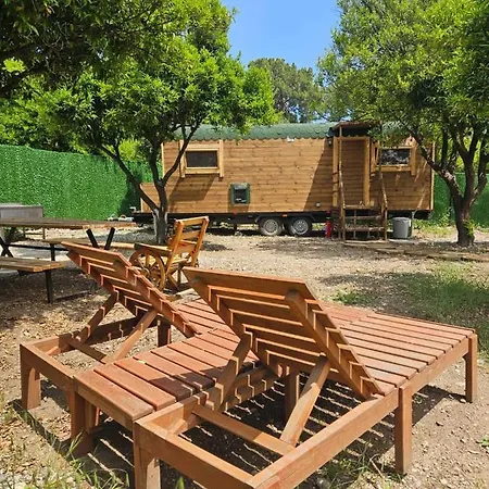 Orange Camp